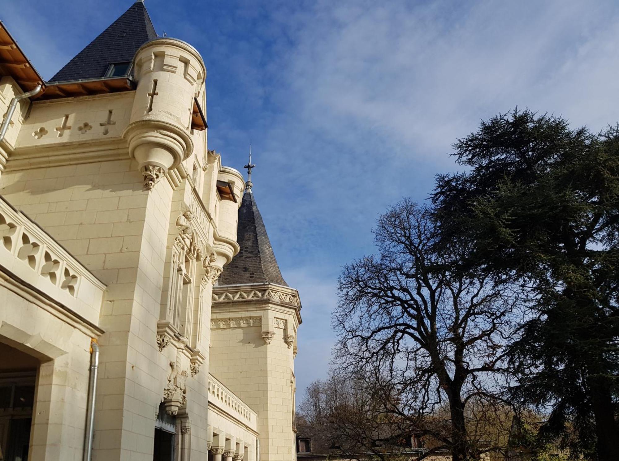 Chateau De Salvert - 4 Gites - 32 Personnes Neuille Bagian luar foto